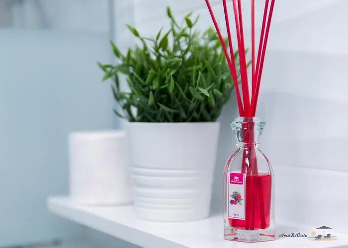 Dos Playas - * Torrevieja