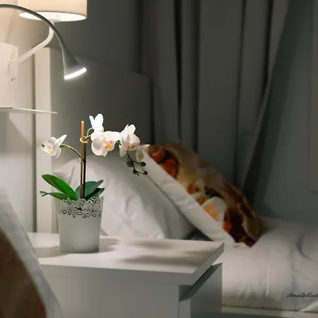 Appartement Dos Playas -